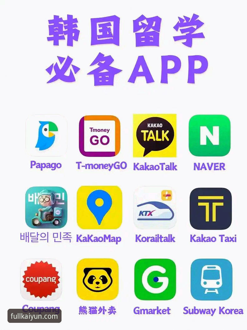 提升体验的5个云开全站app最新版使用技巧，从新手到高手的进阶指南